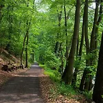 Flair-waldhotel Mellestollen 3* Saalfeld Saale