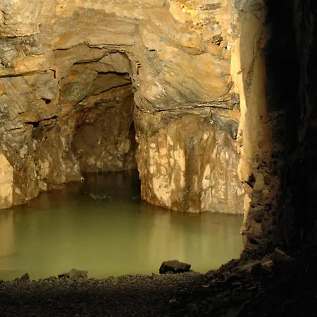 Flair-waldhotel Mellestollen