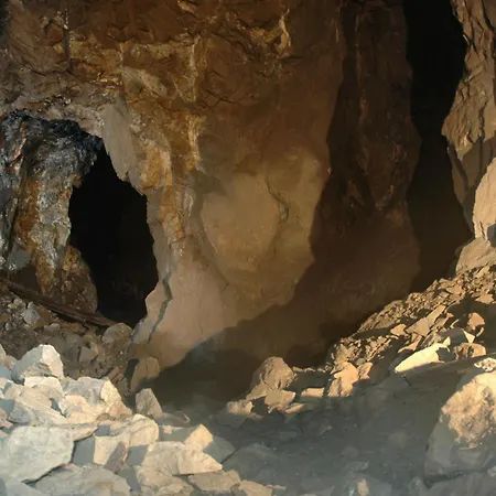 מלון Flair-waldhotel Mellestollen