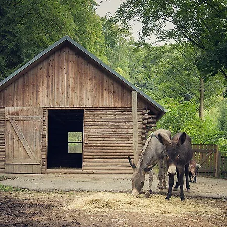 Flair-waldhotel Mellestollen Hotel 3*