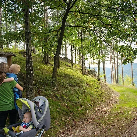 Hotel Flair-waldhotel Mellestollen