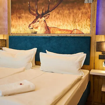 Flair-waldhotel Mellestollen