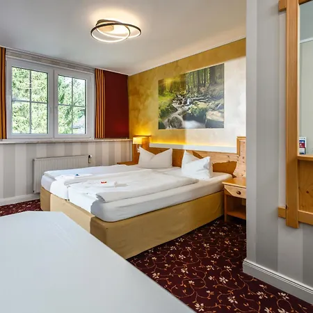 Flair-waldhotel Mellestollen Hotel 3*