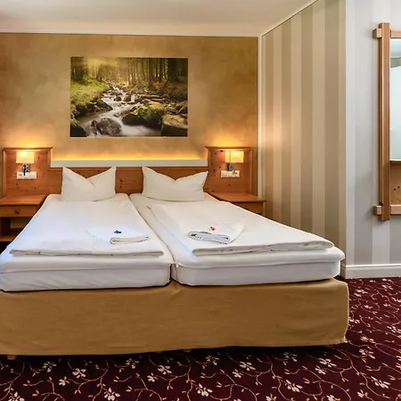 Flair-waldhotel Mellestollen 3* Saalfeld Saale