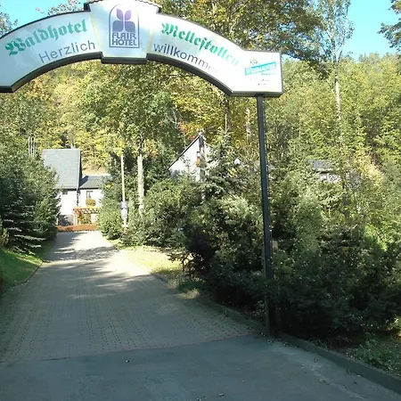 ホテル Flair-waldhotel Mellestollen Saalfeld Saale
