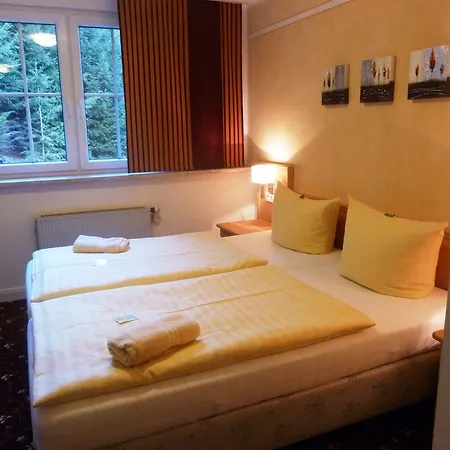 Flair-waldhotel Mellestollen