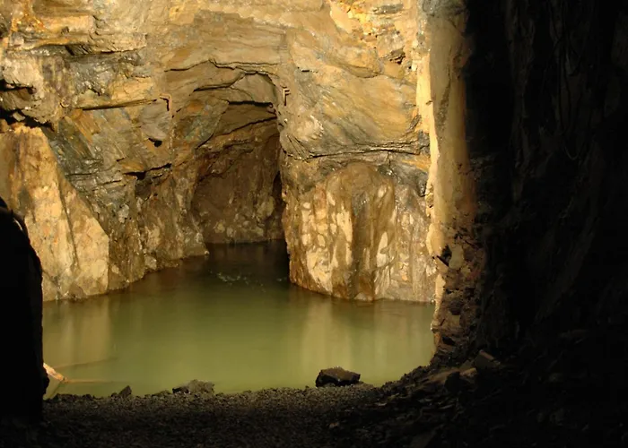 Flair-waldhotel Mellestollen