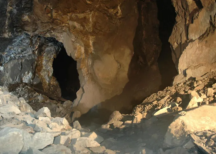 מלון Flair-waldhotel Mellestollen