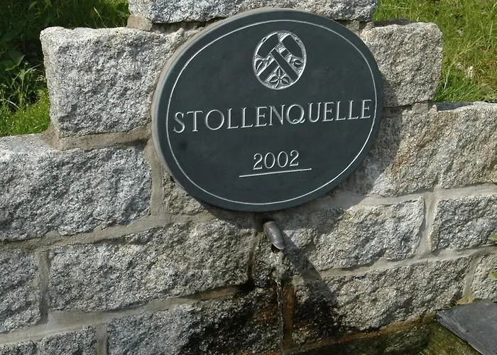 Hotel Flair-waldhotel Mellestollen Saalfeld Saale