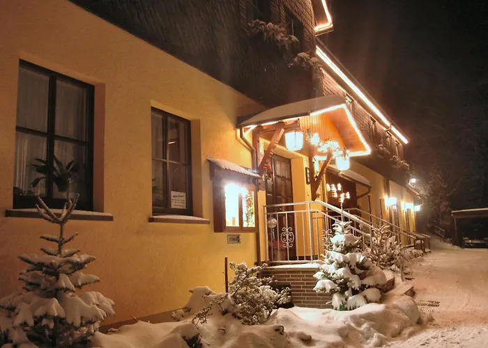 Hotel Flair-waldhotel Mellestollen 3*