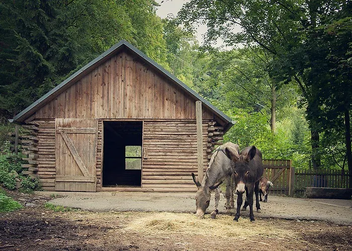 Flair-waldhotel Mellestollen מלון 3*