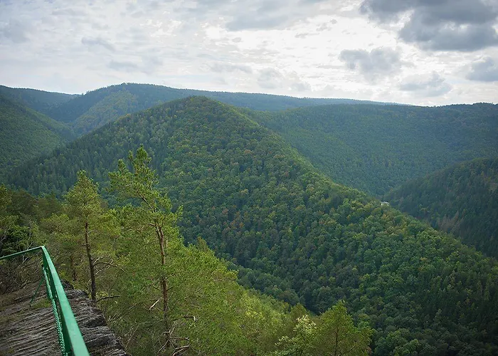 Hotel Flair-waldhotel Mellestollen 3*