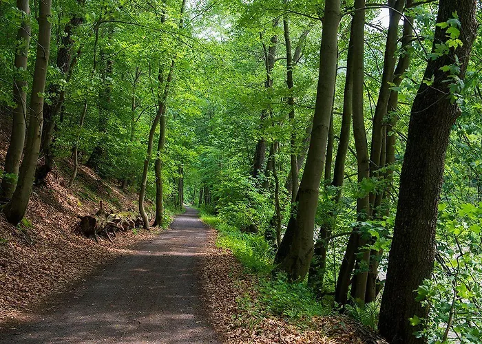 Flair-waldhotel Mellestollen 3* Saalfeld Saale