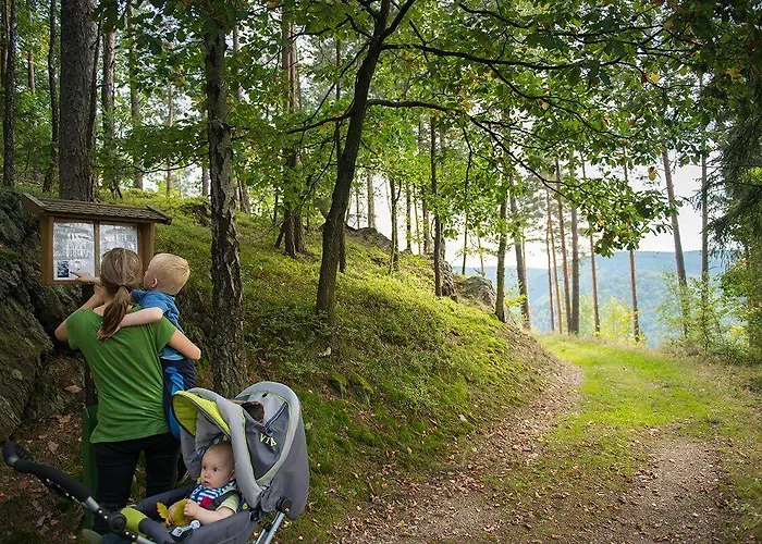 Hotel Flair-waldhotel Mellestollen