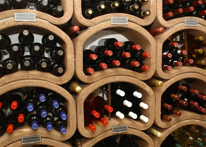 Flair-waldhotel Mellestollen Saalfeld Saale